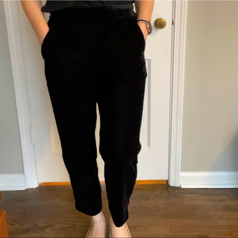 J crew Velvet Jamie Pant
